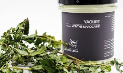 Ferme Romé - Yaourt infusé Reine des prés 300g