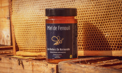 Les Ruchers de Normandie - Miel de Fenouil 250g