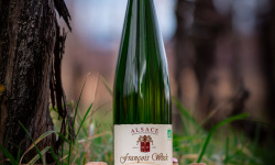 Domaine François WECK et fils - Pinot Blanc 2022 - 75cl