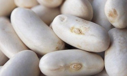 Mon Petit Producteur - Haricot Lingot Blanc Bio [1 Kg]
