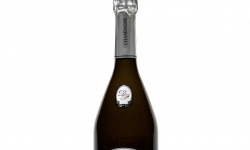 Champagne De Sloovere - Pienne - Champagne De Sloovere Pienne Prestige x6