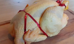 La Ferme Durbois - [Précommande] Chapon blanc - La TOUCHE env 3kg