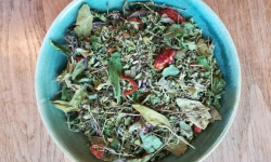 La Cabane à plantes - Infusion Hora