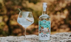 Distillerie de l'Òrt - Gin de nos Jardins BIO - 70cl