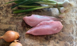La Maison Pourthié - Filet 1kg