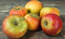 Les Jardins de Gérard - Pomme Jonagored Bio - 1kg