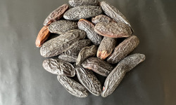 Esprit Zen - Fèves De Tonka - 5 Fèves