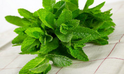La Boite à Herbes - Menthe Fraîche - Sachet 200g