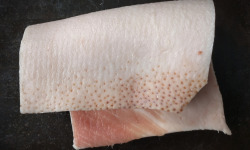 Elevage de Cochons en Forêt et Produits du Terroir Jurassien - Gras de bardière Porc plein air