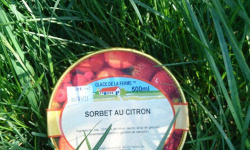 Les Glaces de la Promesse - Sorbet Citron