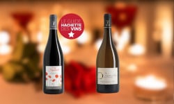 Domaine de la Chopinière du Roy - Lot 2 bouteilles  - Vin de Loire Rouge et Blanc sec et aromatique - 2 x 75 cl