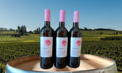 Château Haut-Lamouthe - L'inédite Bergerac Rouge AOC - 3x75 Cl