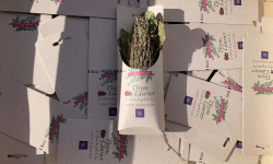 Les Herbes du Roussillon - Bouquet De Thym Laurier Séché