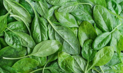 Les Jardins de Gérard - Epinard jeune pousse Bio - 500 g