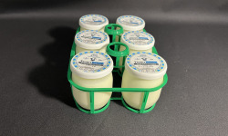 Laiterie de la Nive - Yaourt Nature au lait de brebis  par 6