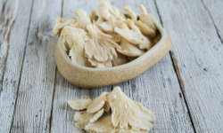 Champignons du Périgord - Champignons pleurotes secs 50g