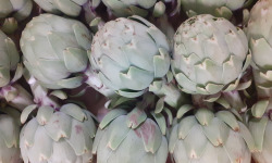 Le Châtaignier - ARTICHAUT