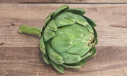 Les Jardins de Gérard - Artichaut vert à la pièce Bio