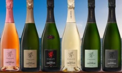 Champagne Thierry Griffon - Champagnes en mix 6 bouteilles