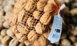 La Noyeraie des Borderies - NOIX BIO Calibre Moyen (28+) FILET 1kg  RÉCOLTE 2025