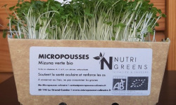 Ma Micropousse culinaire - Micro-pousses de mizuna verte Bio 4 barquettes