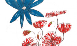 Rébecca les Jolies Fleurs - offre s
