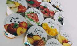 Ferme Joos - Yaourts fermiers Rhubarbe et mirabelle - lot de 6