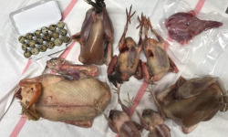 Des Poules et des Vignes à Bourgueil - Colis de volailles de la semaine