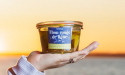 Mas Henri - Ventrèche thon rouge, huile d’olive, citron 270g