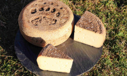 Maxime Bajas – Ferme De L’Aouda - Fromage de brebis PéDescaous –  Bergerie 5 mois – demi 2,4kg
