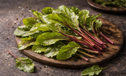 Nature et Saveurs - Ferme Aquaponique et Permacole Astérienne - Jeunes feuilles de Betterave verte — Fraîcheur végétale et douce