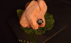 La Ferme des Peupliers - Pintade fermière 1.80 kg