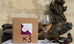 Domaine de la Chopinière du Roy - Lot de 3 BIB de vin rosé 2025 Sec et fuité 3 Litres