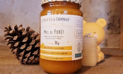 Les Butineuses de Champigny - Miel de Forêt BIO - 1000g