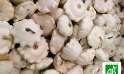 Le Châtaignier - Courge Pâtisson Blanche Bio - 1 Kg