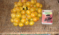 LES JARDINS DE KARINE - Prune Myrobolan jaune - 5kg