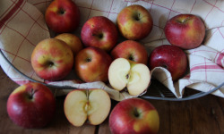 Le Verger de Crigne - Colis 4kg Pommes Dalinette Bio