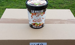 Les Glaces de la Vallée - PACK 12 Crèmes glacées Praliné amande noisette  "la Vallée" 500 ml