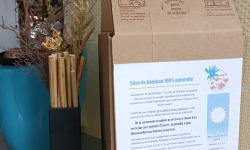 Rébecca les Jolies Fleurs - Grande cure de Sève de Bouleau 5L