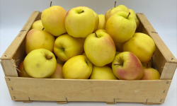 Le Panier du Producteur - Pomme "Golden"