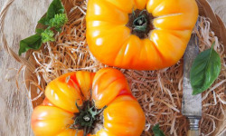 Les Champs Paradis - Tomate ananas 1kg