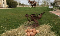 Des Poules et des Vignes à Bourgueil - 6 Œufs De Poule Géline de Touraine