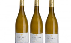 Domaine Tupinier Philippe - Chablis AOC 20202- 3 Bouteilles De 75 Cl