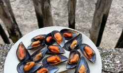 Saint Kerber - Cancale - Moules Espagne en barquette 1.4kgs