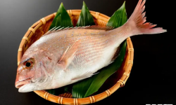 Brest Marée - Dorade Rose - 500g