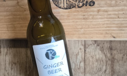 TK Bio - The Kefir et Kombucha Compagnie - Ginger Beer Bio - 12x33cl