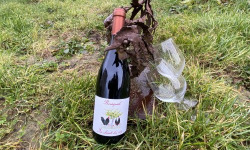 Des Poules et des Vignes à Bourgueil - Offre pro - Bourgueil AOC rouge - Au Chant du Coq 2024 (x6)