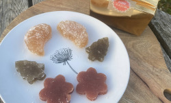 Ferme Sinsac - Pâtes de fruits assortis de Noël (lot de 5 ballotins de 100grs)