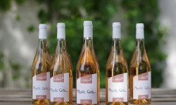 Domaine de l'Ambroisie - Mystic Gris - Mystic Gris - Gris de Toul - AOC Côtes de Toul 12x75cl