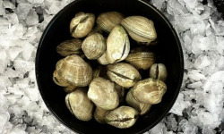 Luximer - Palourdes grises de Bretagne - Lot de 3 kg